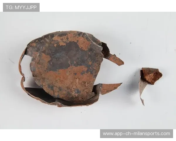 职业文物保护的温控：他是如何通过环境参数防腐蚀的