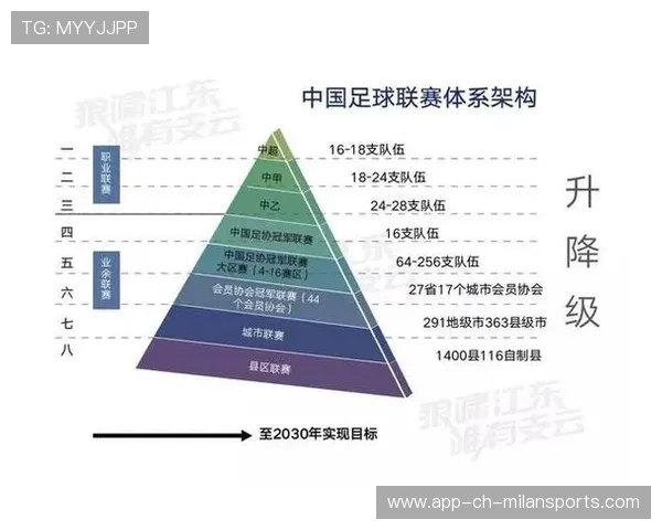 联赛运行结构变化分析